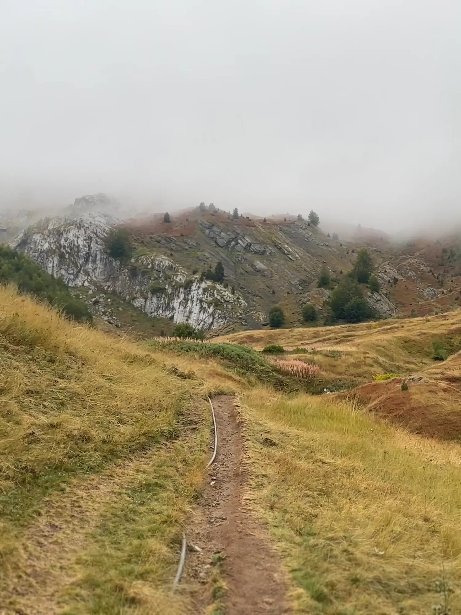 A narrow path through golden grass, climbing toward rocky slopes that disappear into fog.